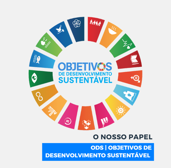 ODS | Objetivos de Desenvolvimento Sustentável: O Papel da ESI 17