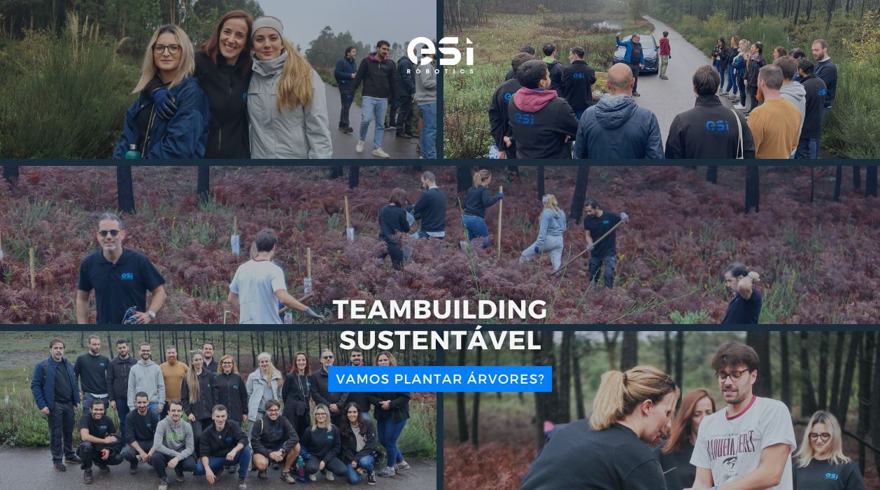 Teambuilding Sustentável: Vamos Plantar Árvores? 0